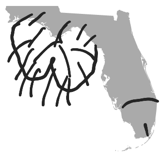 Florida.png